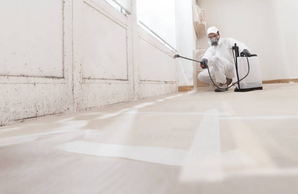 24/7 Emergency Mold Inspection experts in Norwood, MA