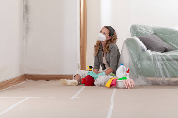 Trusted Mold Inspection service in Norwood, MA - WQB Mold Removal